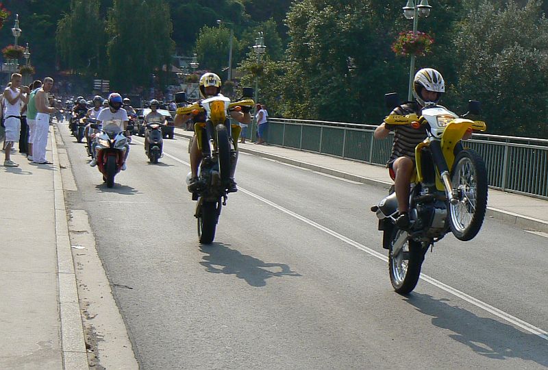 p1310549_k.jpg