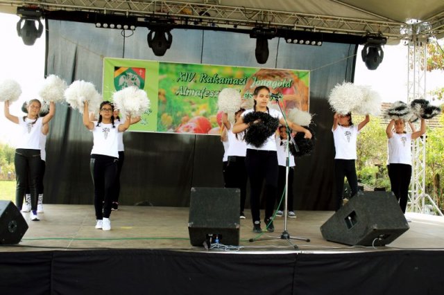 Almafesztivál 2016