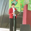 Almafesztivál 2016