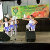 Almafesztivál 2016