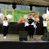 Almafesztivál 2016