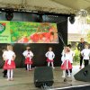 Almafesztivál 2016