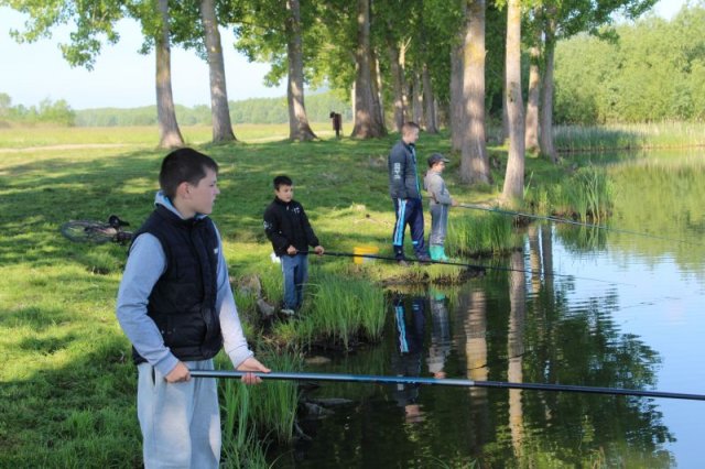 Horgászverseny