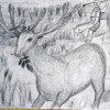 Kassai Lilla 6.a 13 éves